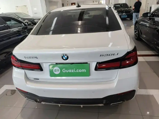 BMW 5 Series — Фото автомобиля 5