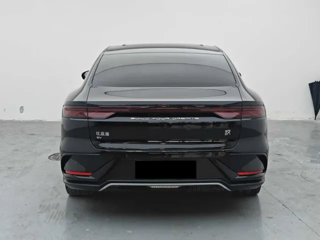 BYD Han — Фото автомобиля 8