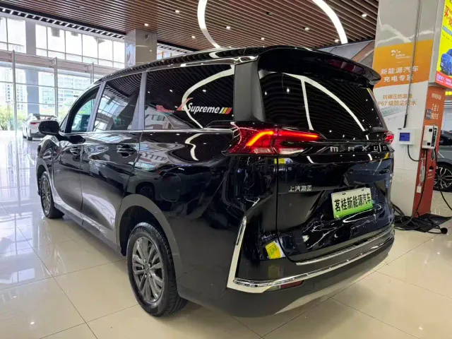 Maxus G50 PHEV — Фото автомобиля 15
