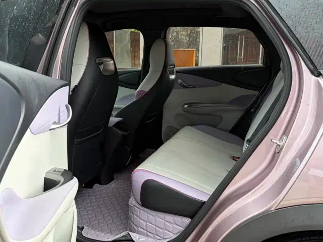 BYD Dolphin 2021 401km Knight Edition — Фото автомобиля 8
