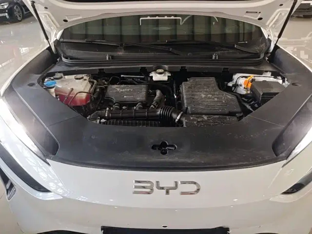 BYD Sealion 06 — Фото автомобиля 19