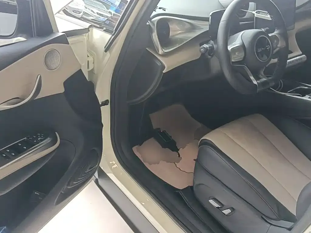 BYD Dolphin 2023 420km Freedom Edition — Фото автомобиля 11