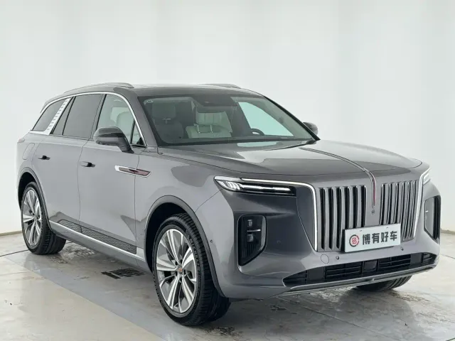 Hongqi Hongqi E-HS9 2021 460km Flagship Comfort 6-seater — Фото автомобиля 4