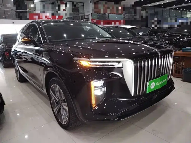 Hongqi E-HS9 — Фото автомобиля 3
