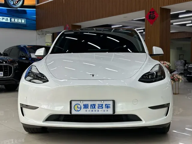 Tesla Model Y — Фото автомобиля 3