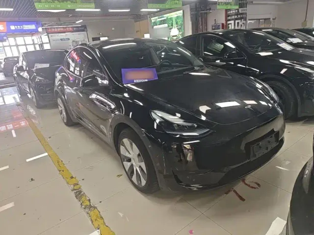 Tesla Model Y — Фото автомобиля 3