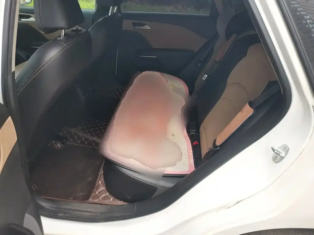 Chevrolet Monza 2022 320 Automatic Enjoyment Sunroof Edition — Фото автомобиля 18
