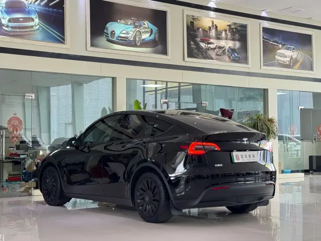 Tesla Model Y — Фото автомобиля 13