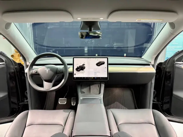 Tesla Model Y — Фото автомобиля 12
