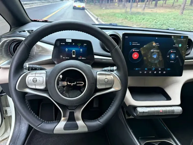 BYD Dolphin — Фото автомобиля 11