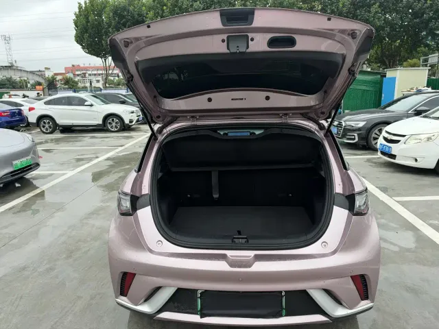 BYD Dolphin — Фото автомобиля 9