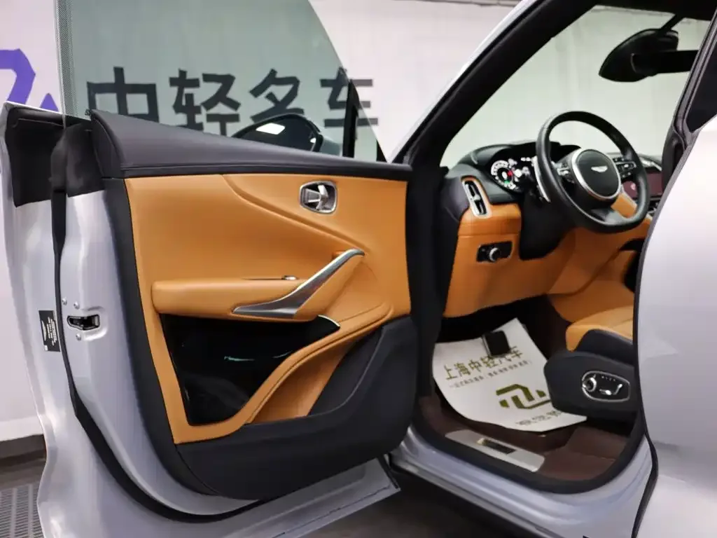 Aston Martin Aston Martin DBX 2023 3.0T STRAIGHT-SIX — Фото автомобиля 5