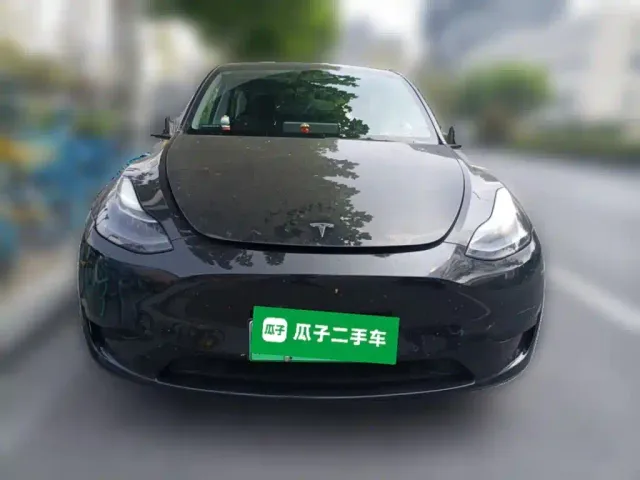 Tesla Model Y — Фото автомобиля 2
