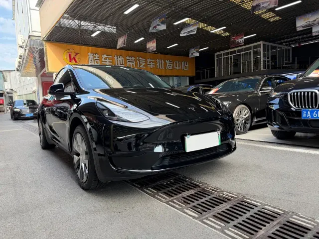Tesla Model Y — Фото автомобиля 3