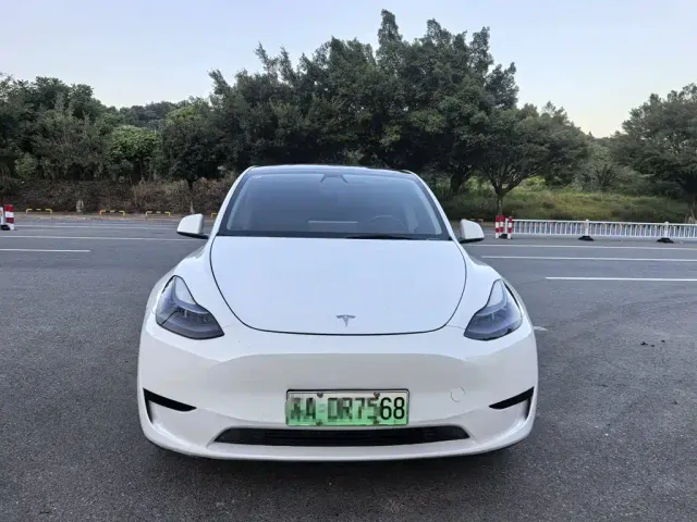 Tesla Model Y — Фото автомобиля 2
