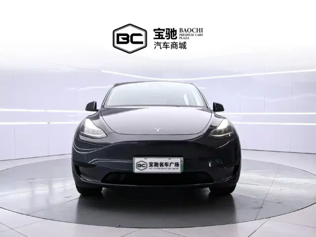 Tesla Model Y — Фото автомобиля 2