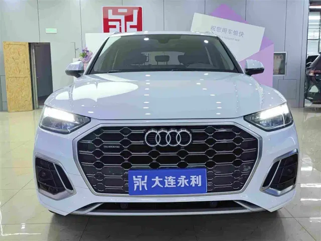 Audi Q5L — Фото автомобиля 2