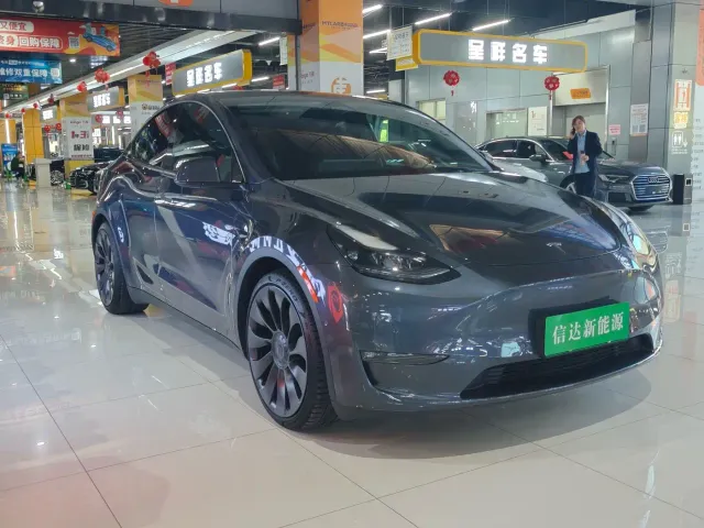 Tesla Model Y — Фото автомобиля 3