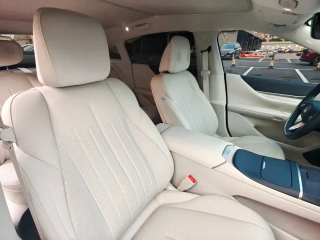 Buick Electra L7 — Фото автомобиля 17