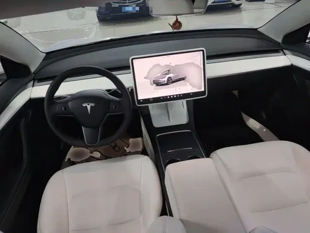 Tesla Model 3 — Фото автомобиля 9