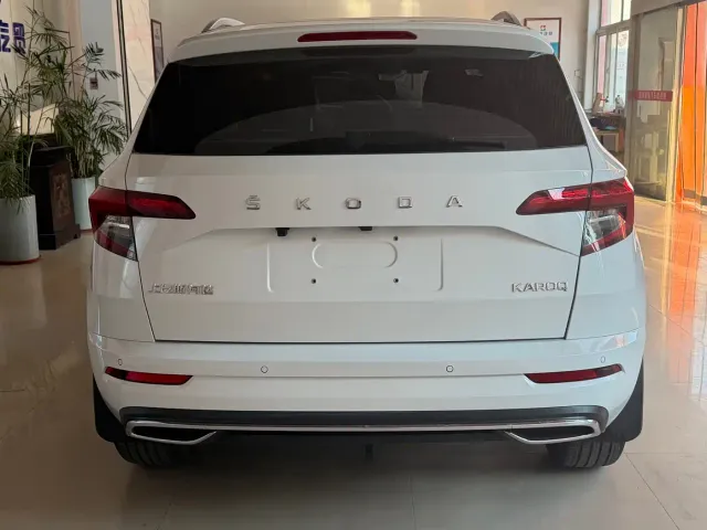 Škoda Karoq 2023 TSI280 Premium Edition — Фото автомобиля 5