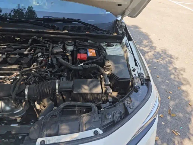 Honda Civic — Фото автомобиля 21