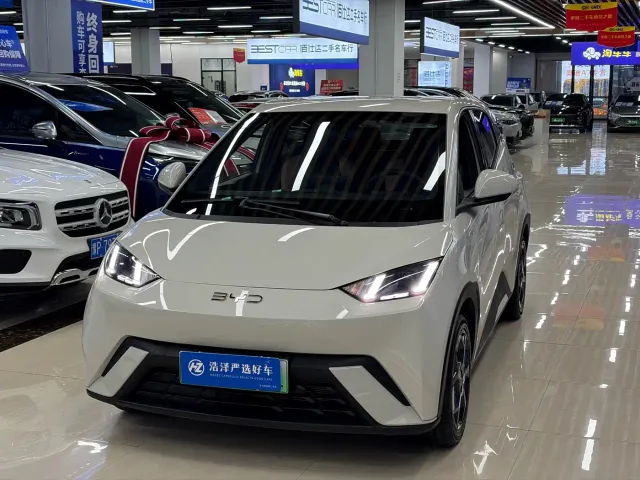 Фотография автомобиля — BYD Seagull