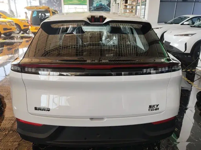 Dongfeng SKY EV01 — Фото автомобиля 5
