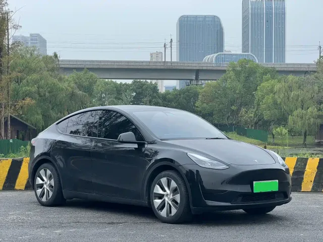 Tesla Model Y — Фото автомобиля 3