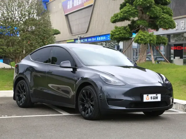 Tesla Model Y — Фото автомобиля 3
