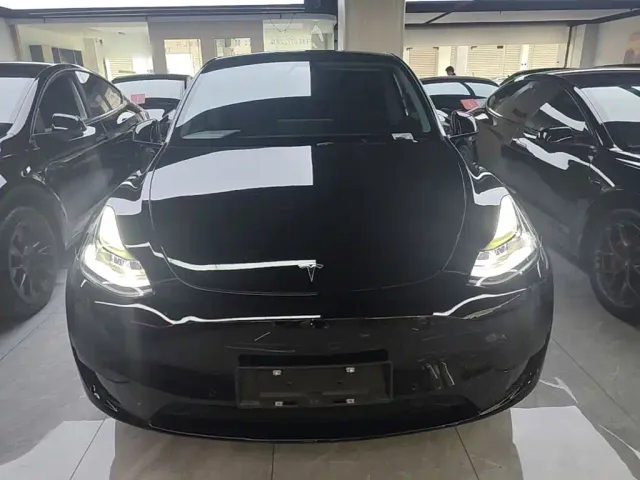 Tesla Model Y — Фото автомобиля 2
