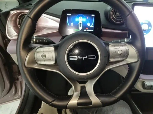 BYD Dolphin — Фото автомобиля 10