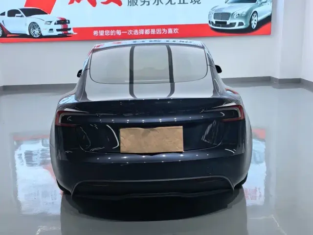 Tesla Model 3 — Фото автомобиля 14