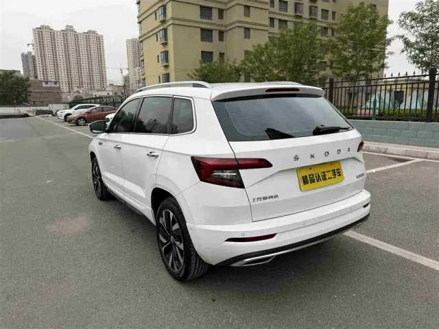 Skoda Karoq — Фото автомобиля 17