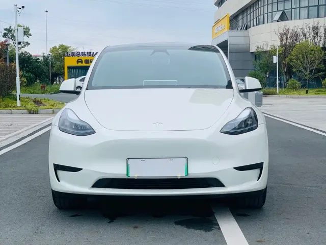 Tesla Model Y — Фото автомобиля 2