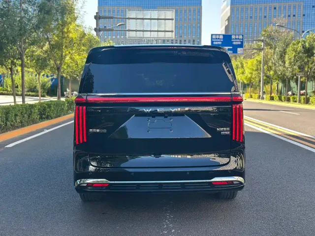 Wey Alpine — Фото автомобиля 13