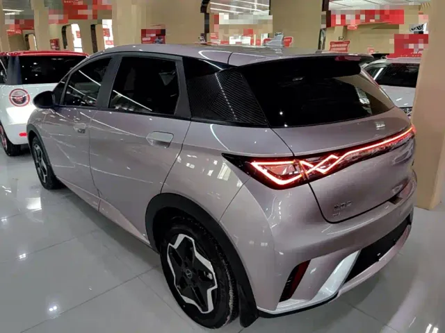 BYD Dolphin — Фото автомобиля 22
