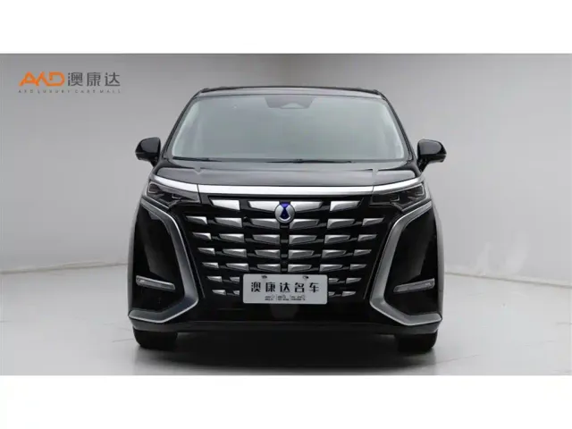 Denza D9 — Фото автомобиля 2