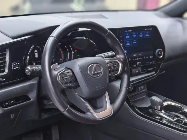 Lexus NX — Фото автомобиля 14