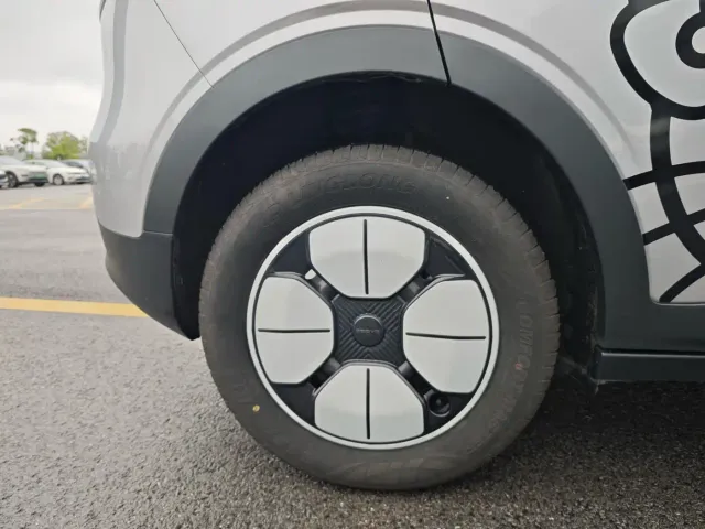 Geely Starry Wish — Фото автомобиля 17