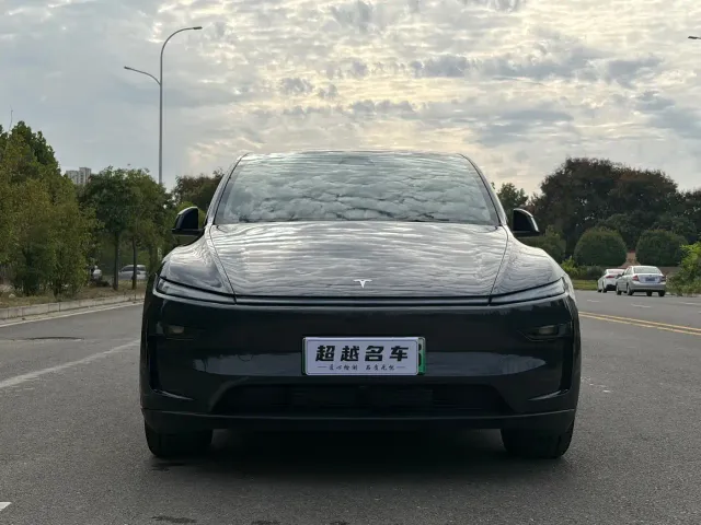 Tesla Model Y — Фото автомобиля 2