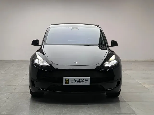 Tesla Model Y — Фото автомобиля 2