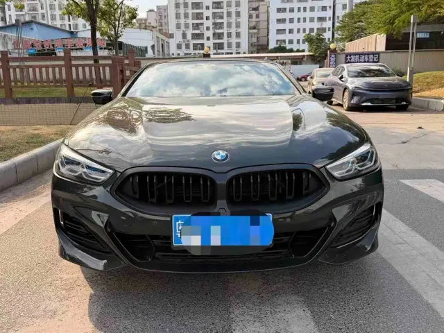 BMW 8 Series — Фото автомобиля 3