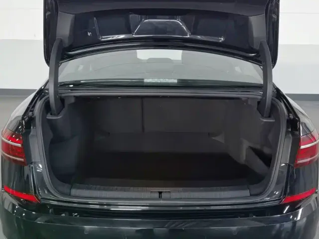 Volkswagen Passat — Фото автомобиля 16