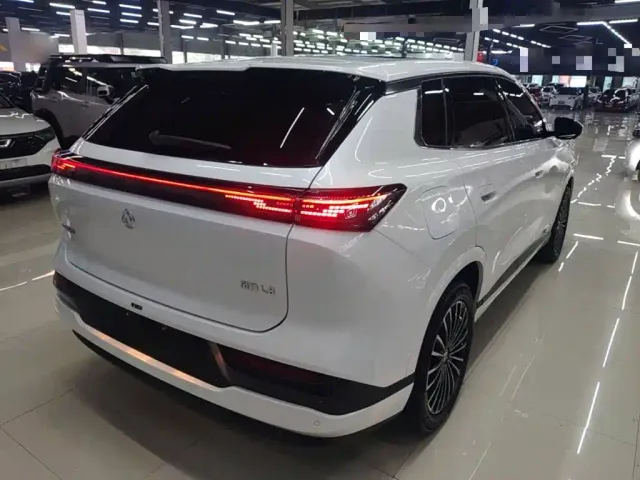 Dongfeng Aeolus L8 — Фото автомобиля 6