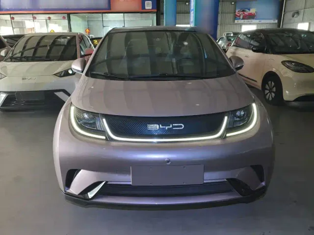 BYD Dolphin — Фото автомобиля 2
