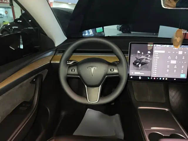 Tesla Model Y — Фото автомобиля 10