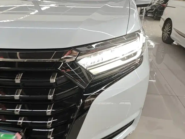 Honda Elysion — Фото автомобиля 23