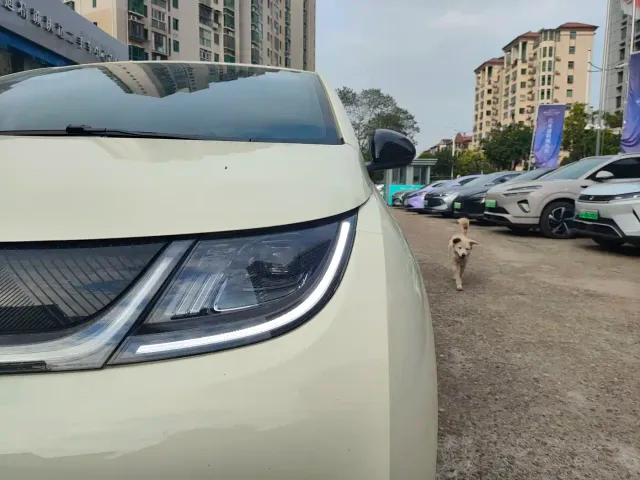BYD Dolphin — Фото автомобиля 10