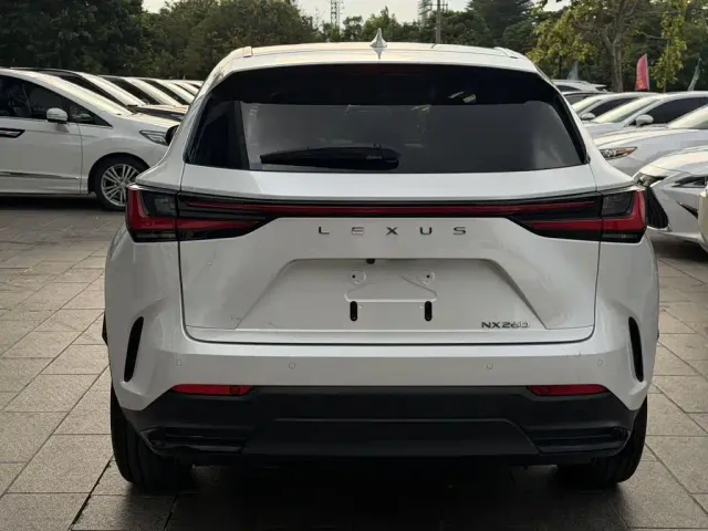 Lexus Lexus NX 2022 260 FWD Innovation Edition — Фото автомобиля 4